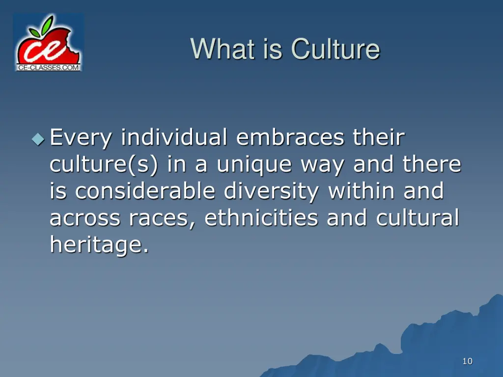 what is culture 4