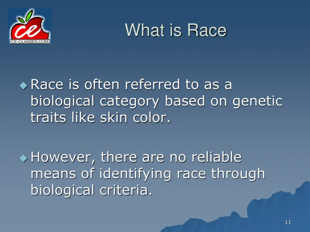 what is race