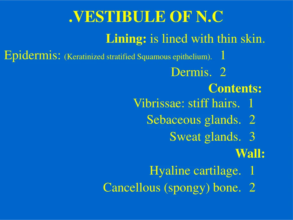 vestibule of n c lining is lined with thin skin