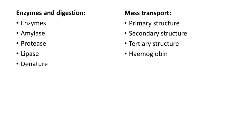 enzymes and digestion enzymes amylase protease