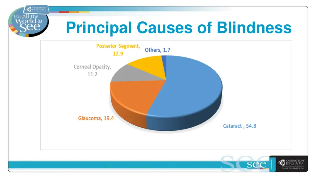 principal causes of blindness
