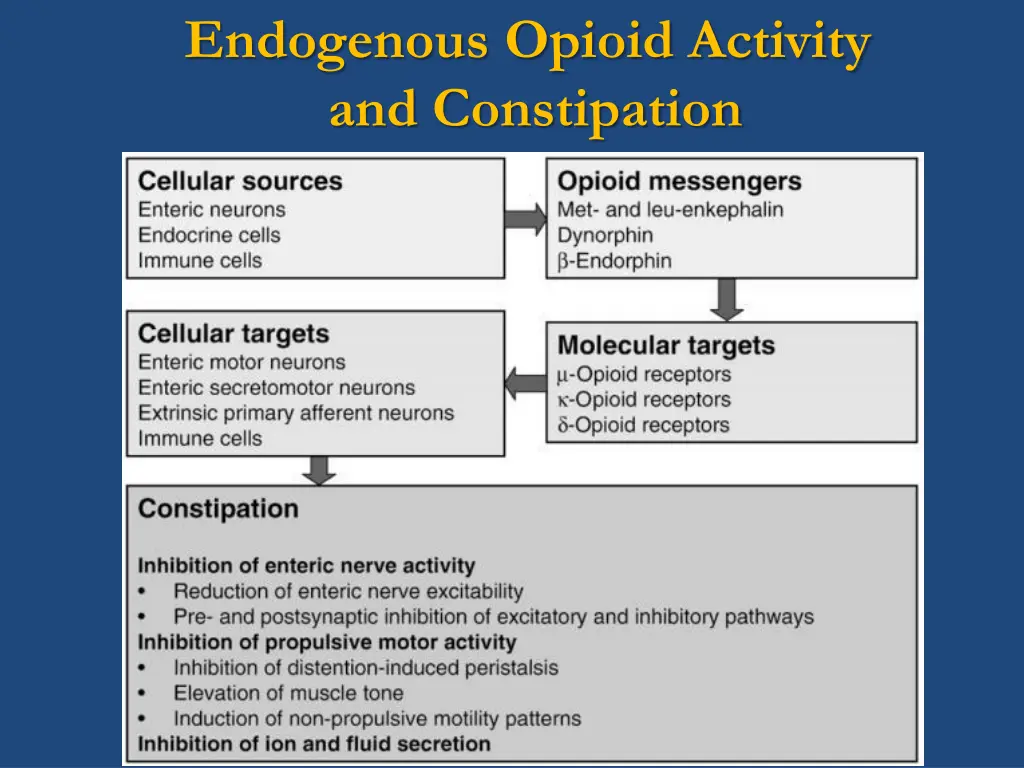endogenous opioid activity and constipation