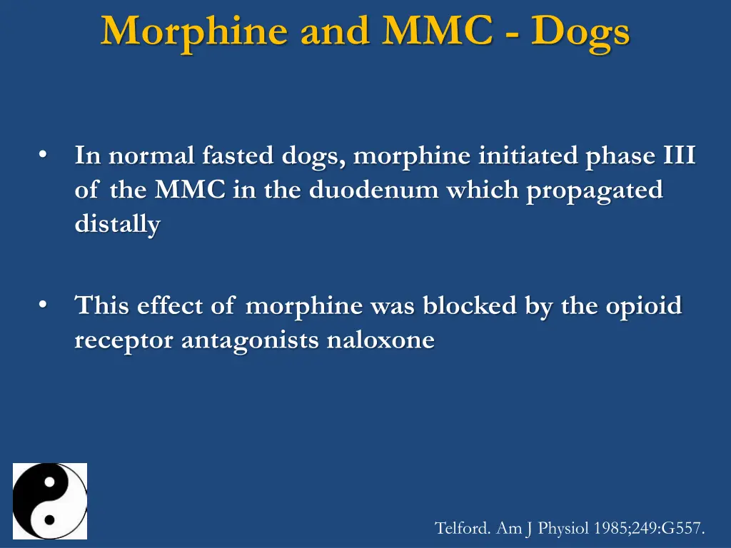 morphine and mmc dogs