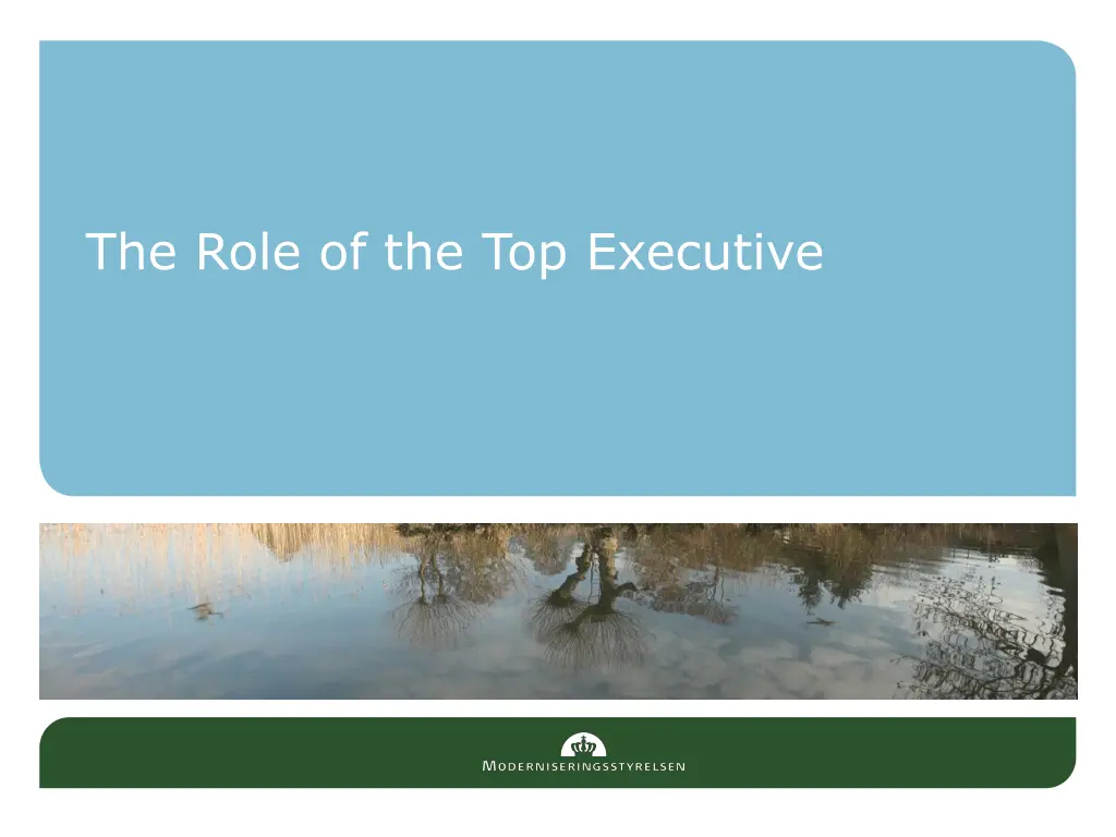 the role of the top executive