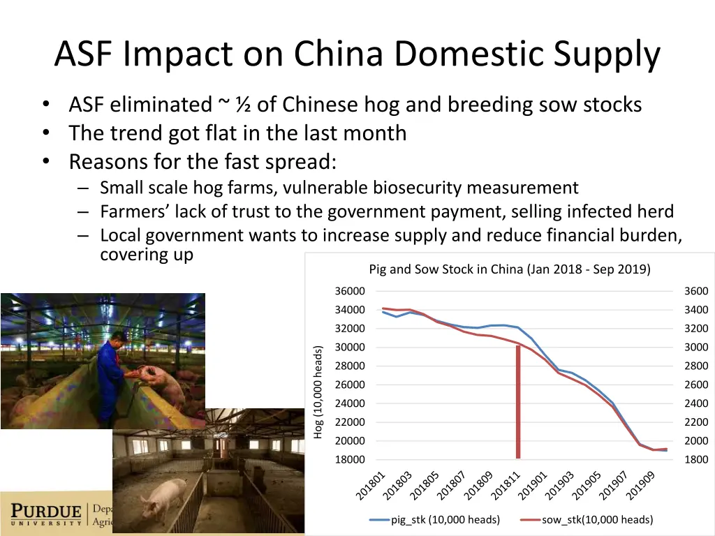 asf impact on china domestic supply