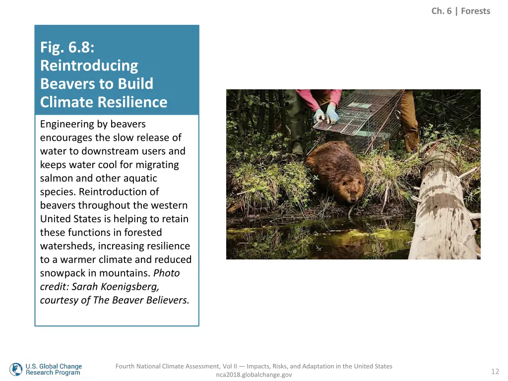ch 6 forests 10