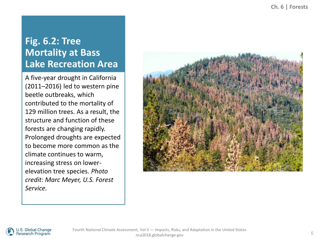 ch 6 forests 4