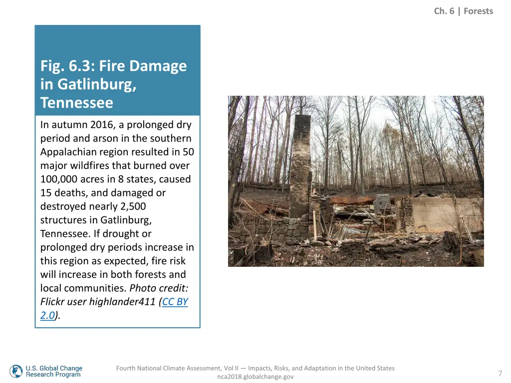 ch 6 forests 5