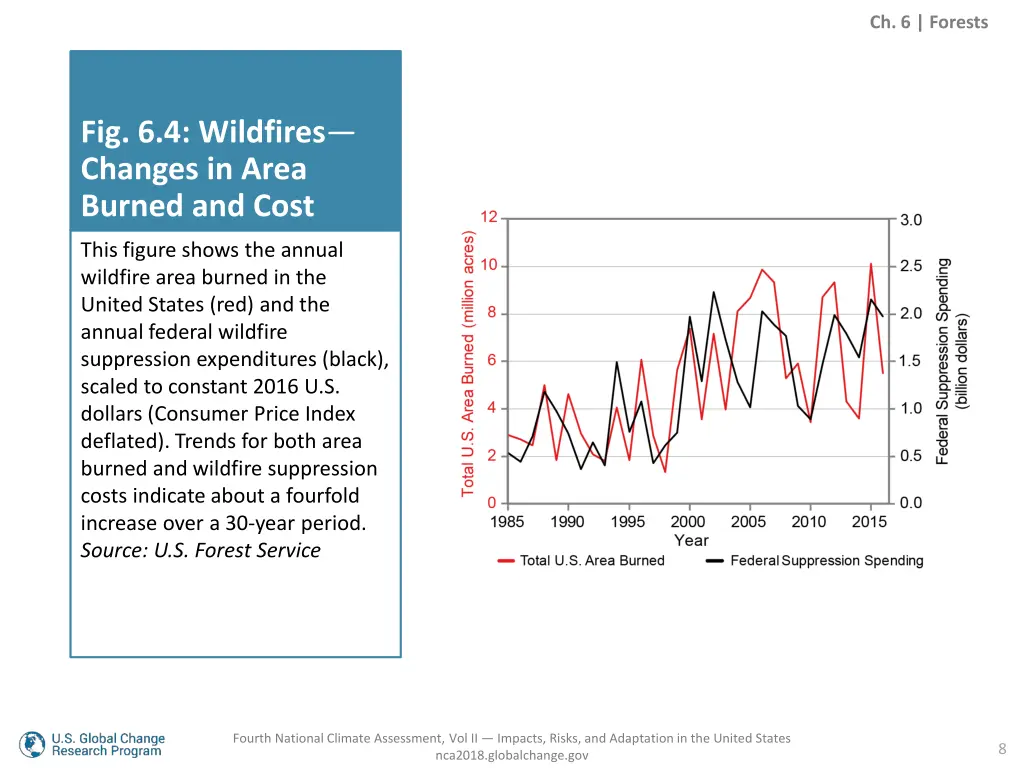 ch 6 forests 6