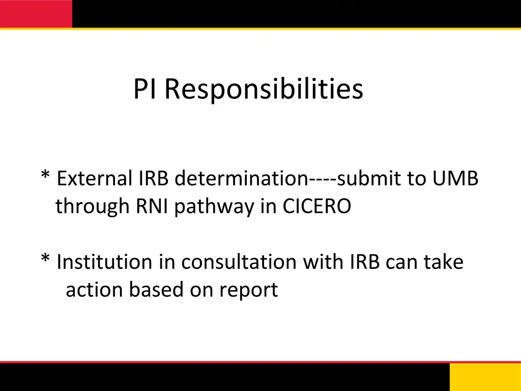 pi responsibilities 1