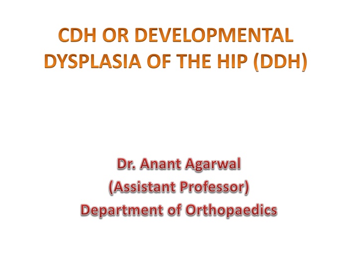 cdh or developmental dysplasia of the hip ddh