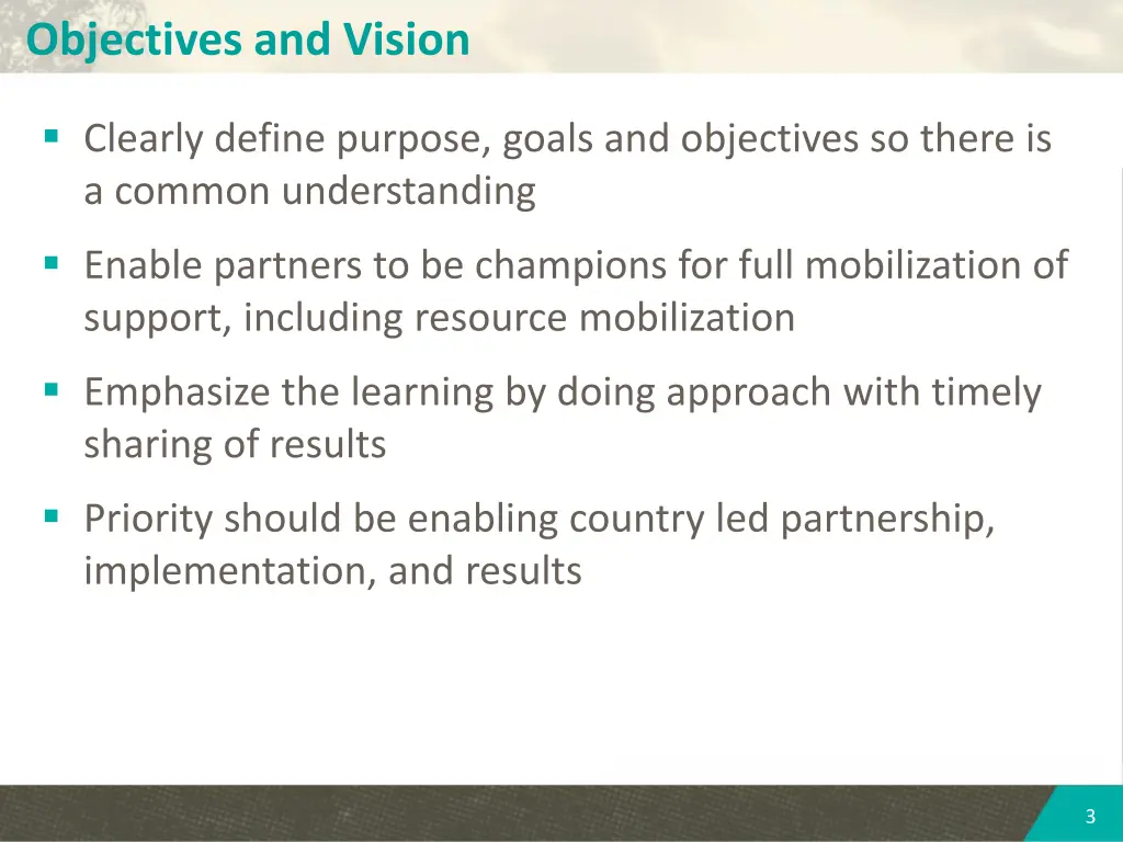 objectives and vision