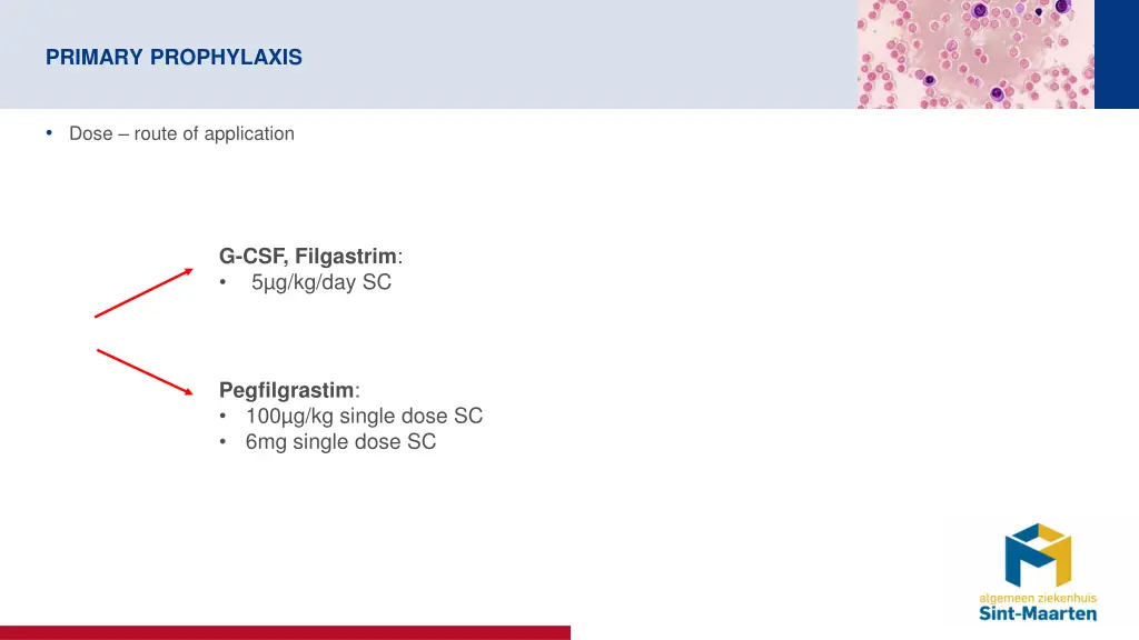 primary prophylaxis 1