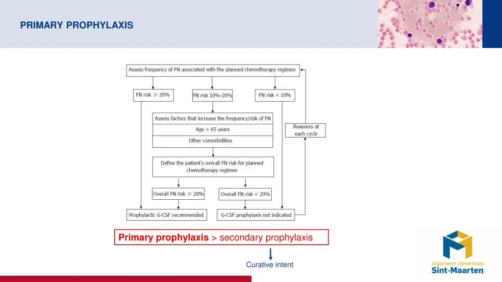 primary prophylaxis