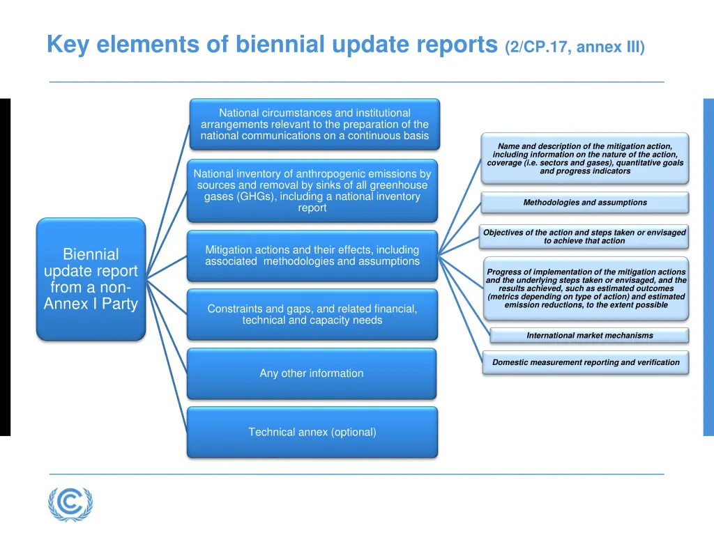 key elements of biennial update reports