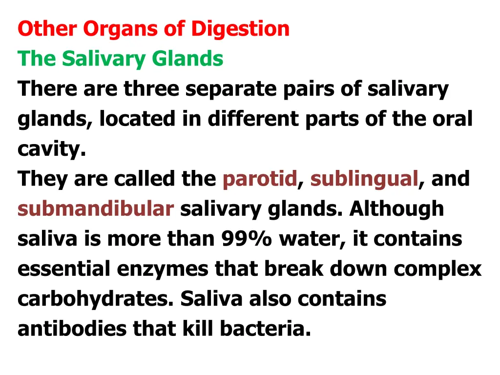 other organs of digestion the salivary glands