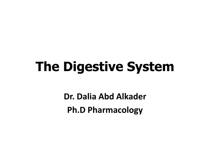 the digestive system