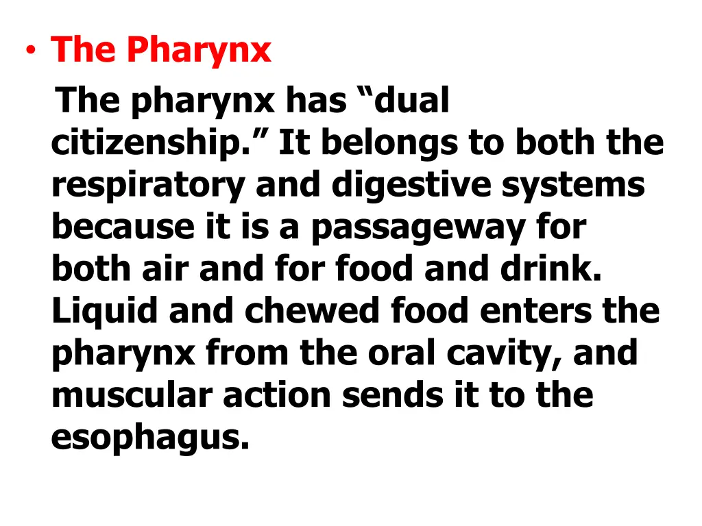 the pharynx the pharynx has dual citizenship