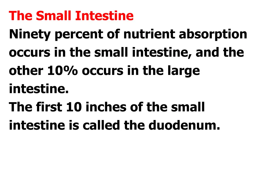 the small intestine ninety percent of nutrient