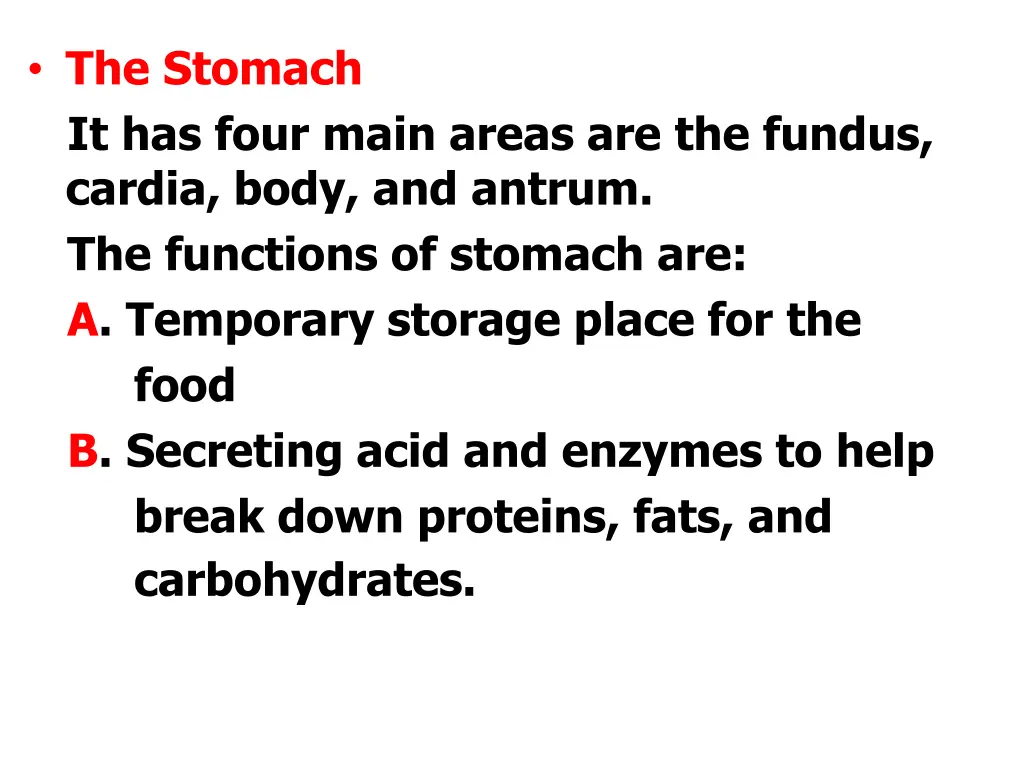 the stomach it has four main areas are the fundus