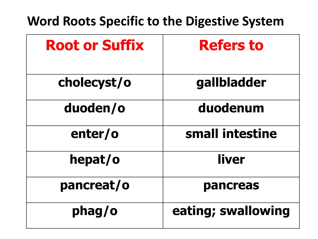 word roots specific to the digestive system root