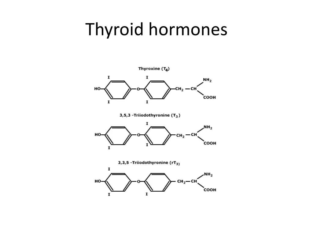 thyroid hormones