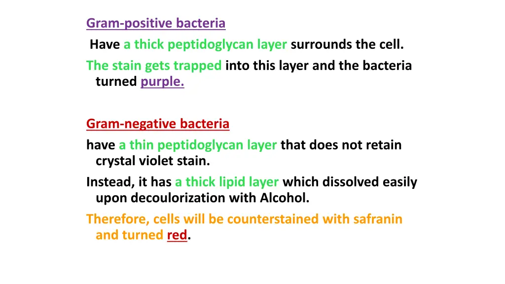 gram positive bacteria have a thick peptidoglycan