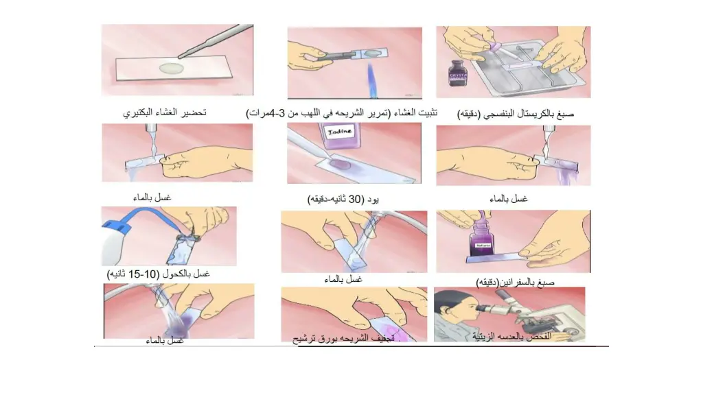 slide6