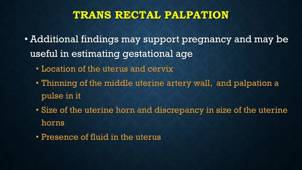 trans rectal palpation 1