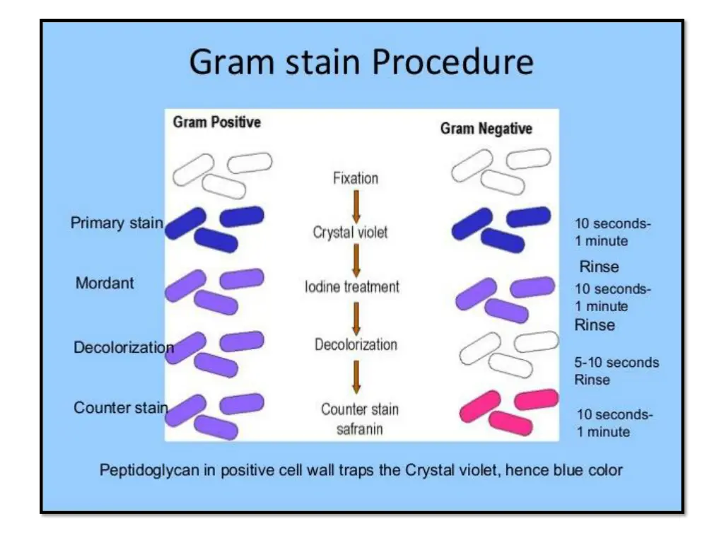 slide7