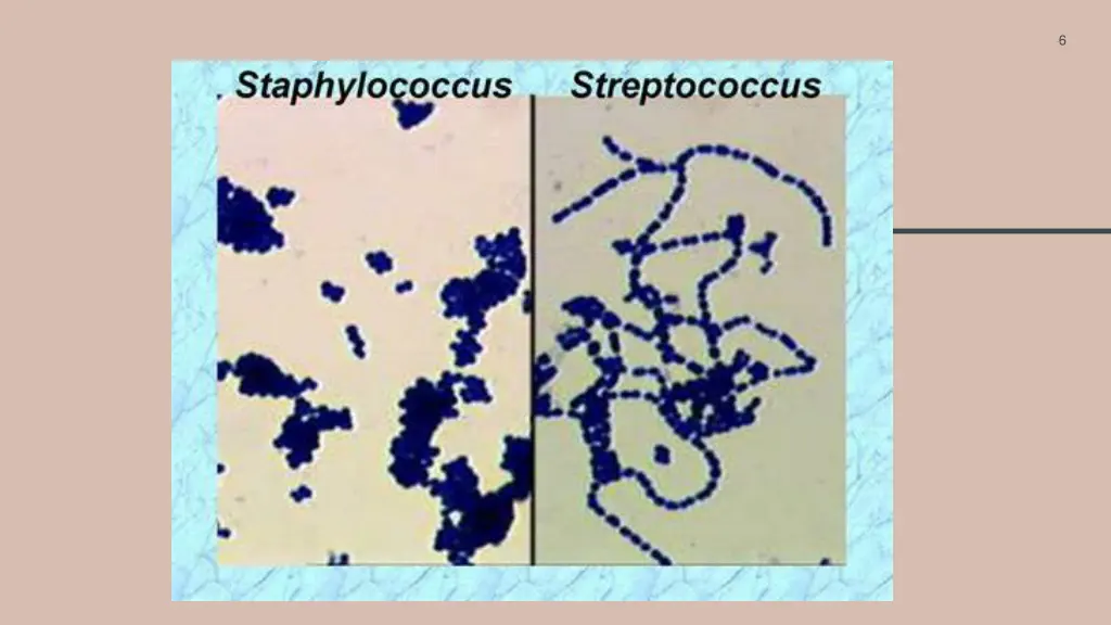 slide6