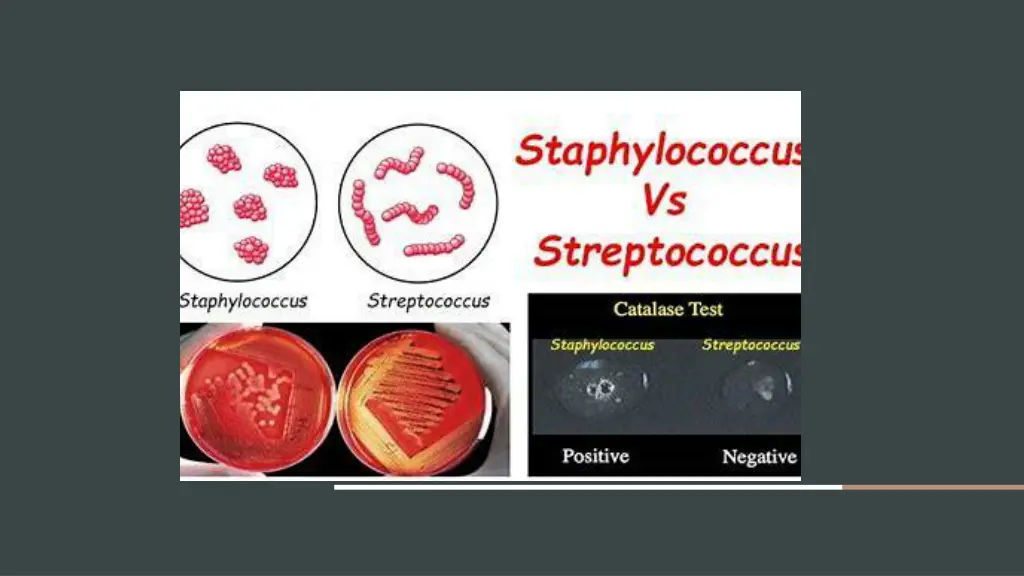 slide8