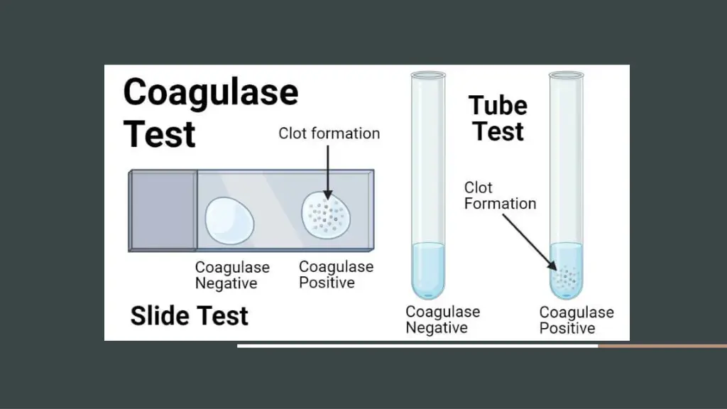 slide9
