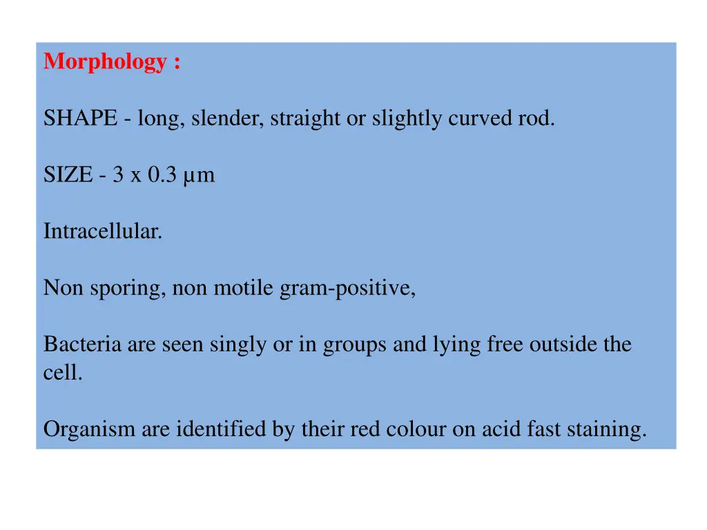 morphology