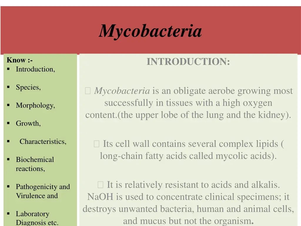 mycobacteria 1