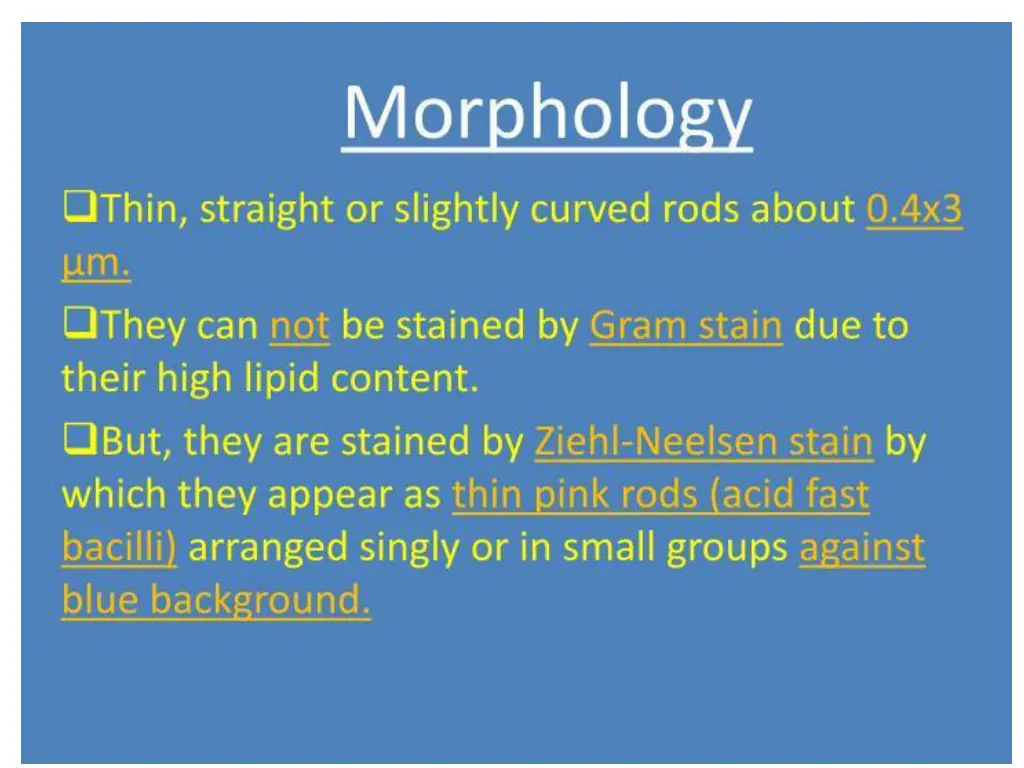 slide10