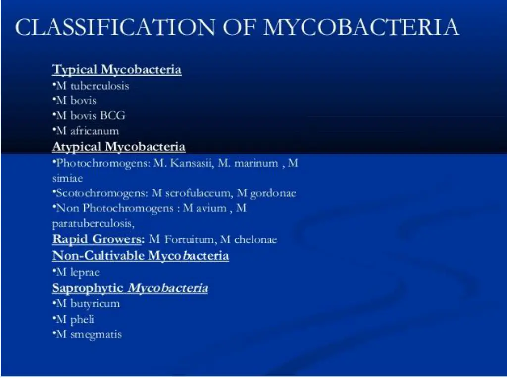 slide7