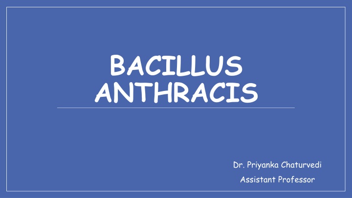 bacillus anthracis