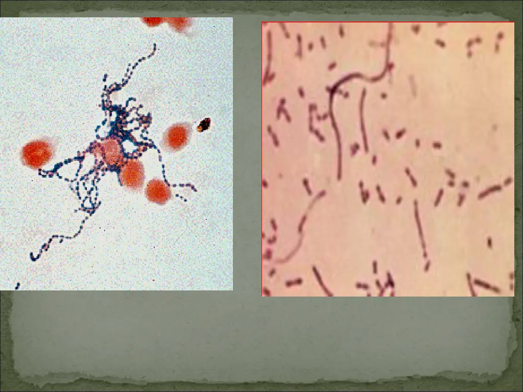 slide12