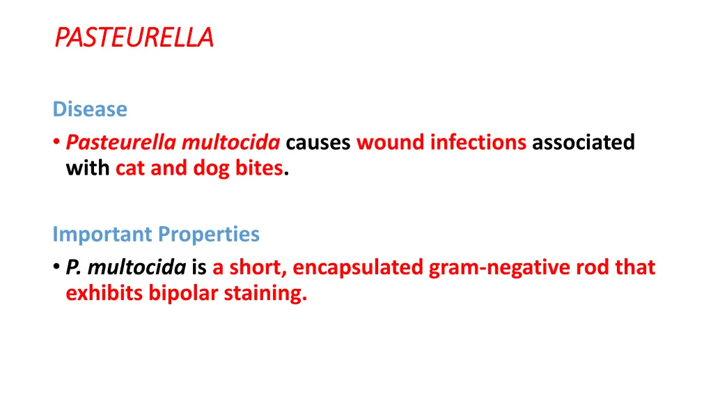 pasteurella pasteurella