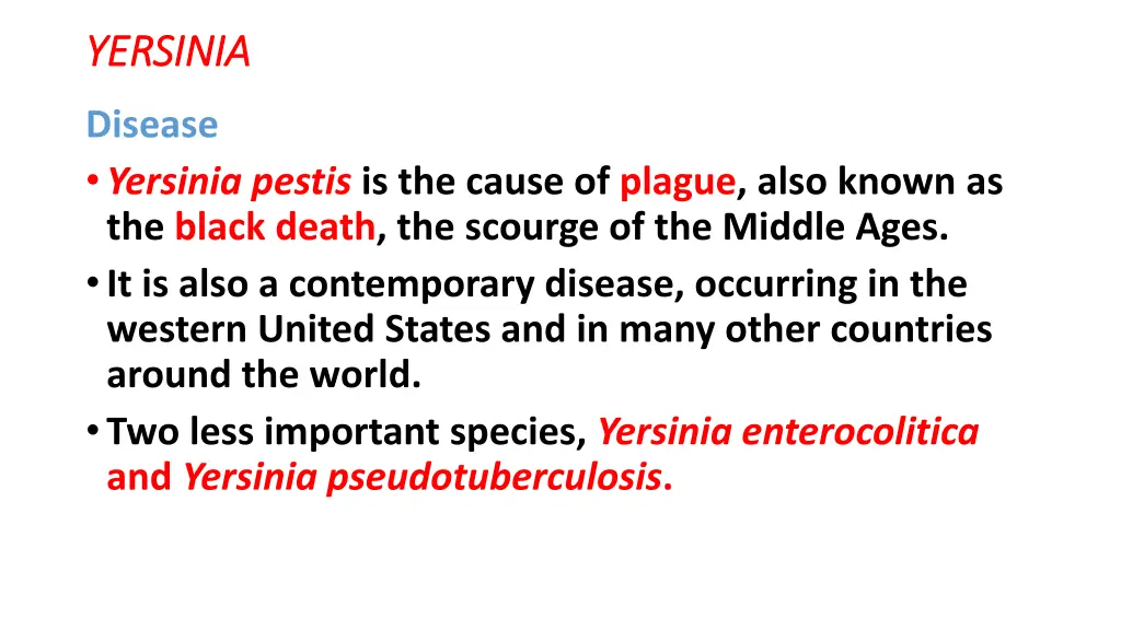yersinia yersinia