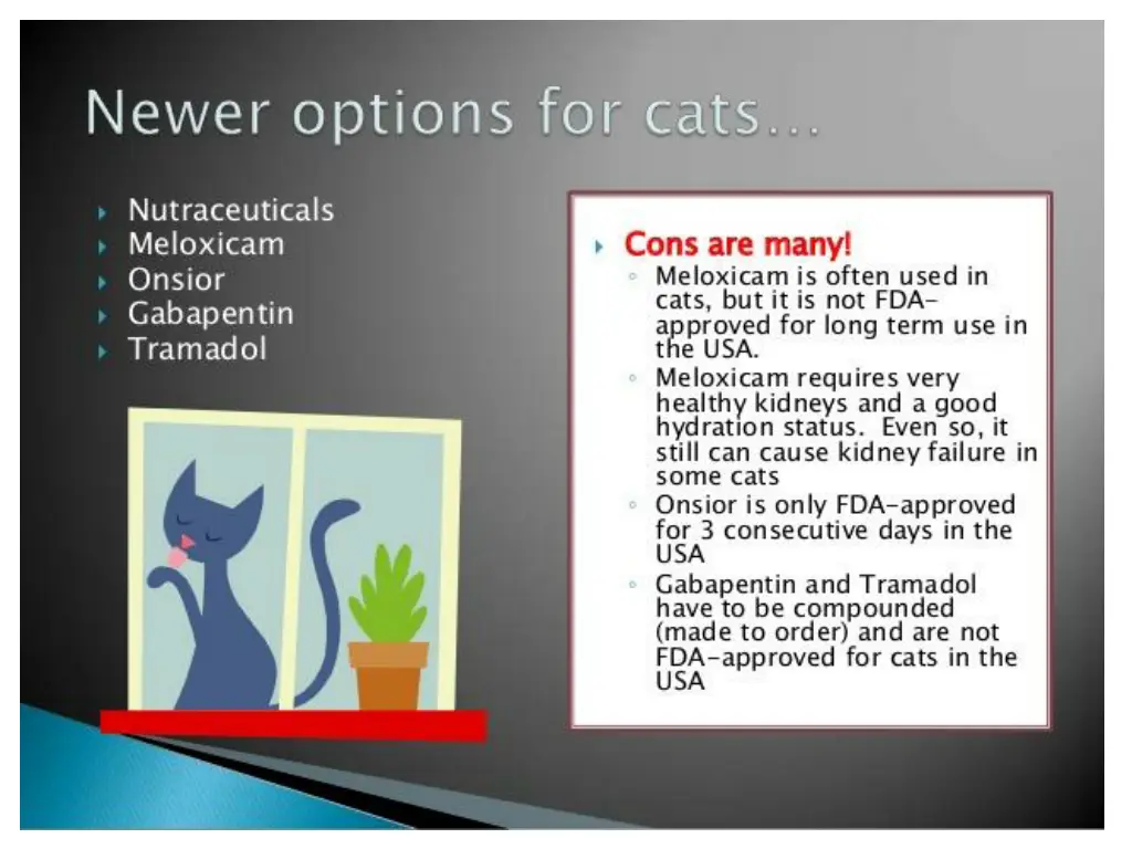 slide11