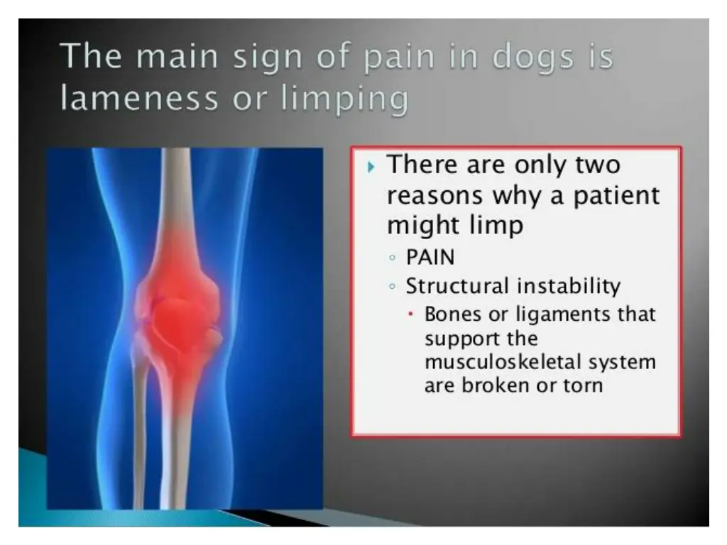 slide5
