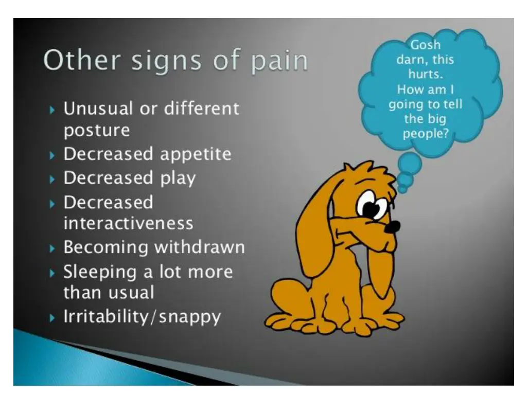 slide6