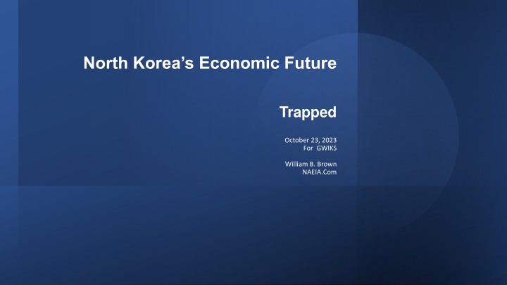 north korea s economic future