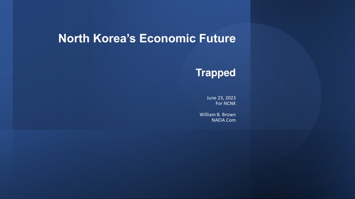north korea s economic future