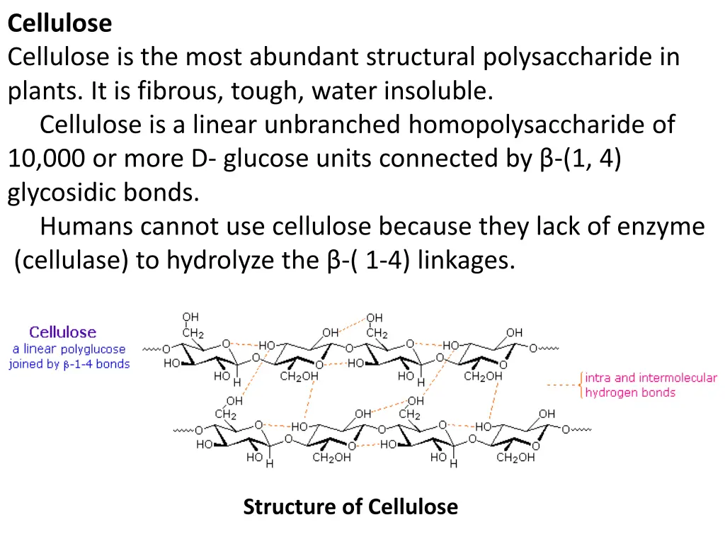 cellulose cellulose is the most abundant
