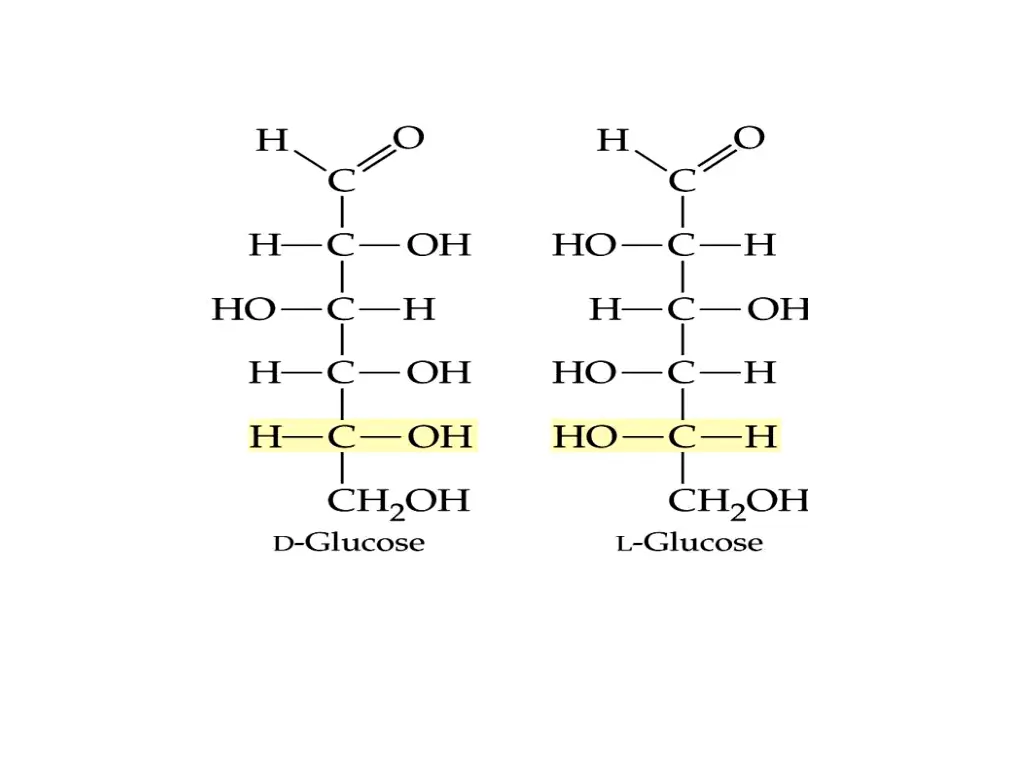 slide12