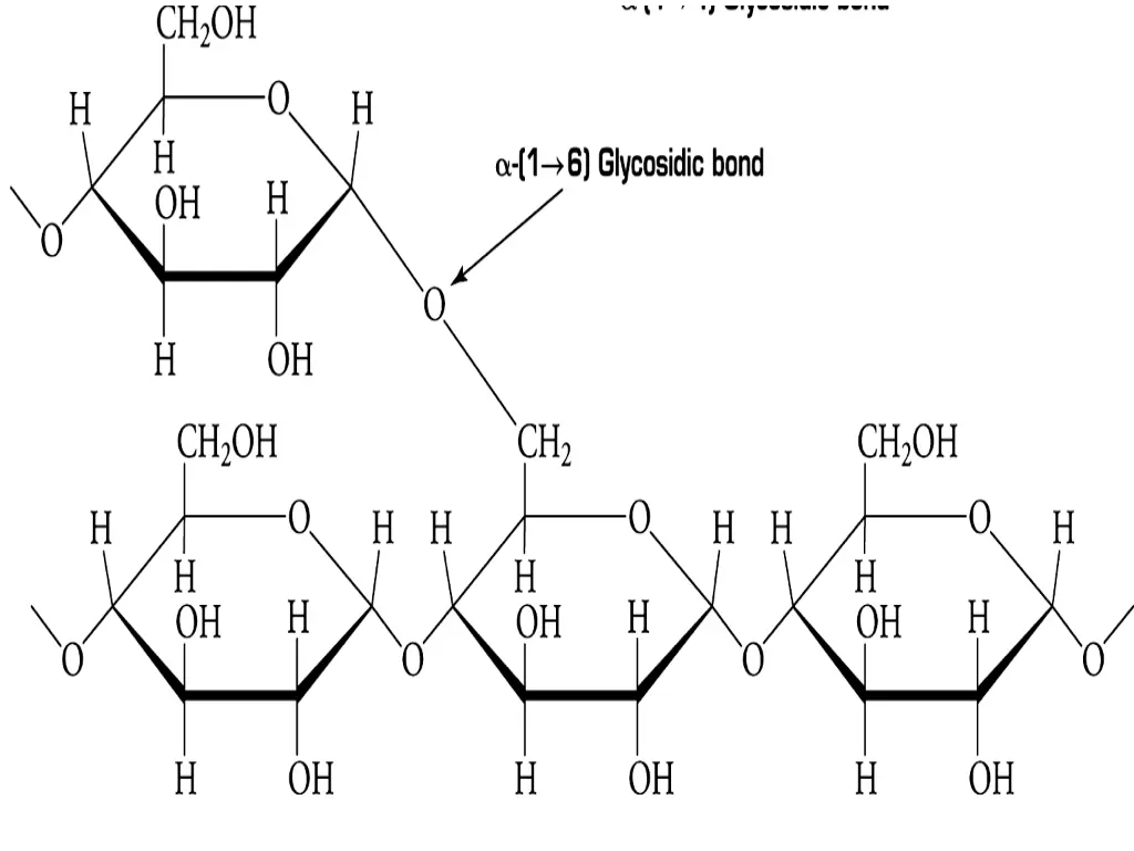 slide28