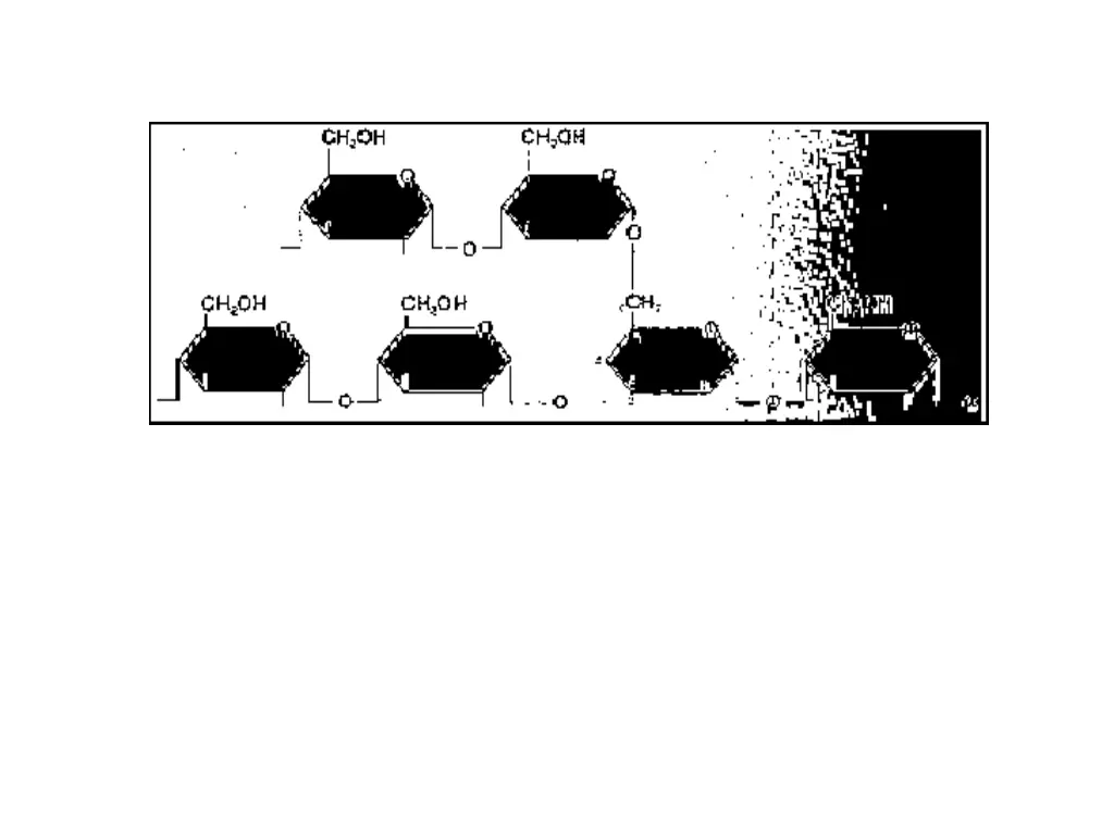 slide30